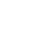 BTG logo — official PALUMANIA lion arena slot catalog vendor