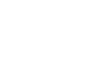 EVO logo — official PALUMANIA premium virtual casino tables vendor